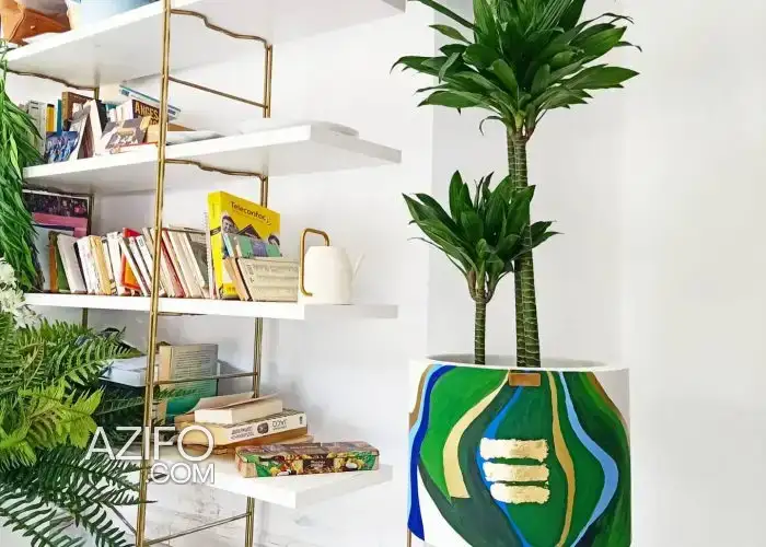 pot et plante — plantes à Casablanca in Casablanca, MOROCCO | Azifo