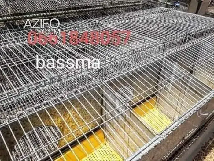 Vente cage lapin in فاس, MOROCCO | Azifo