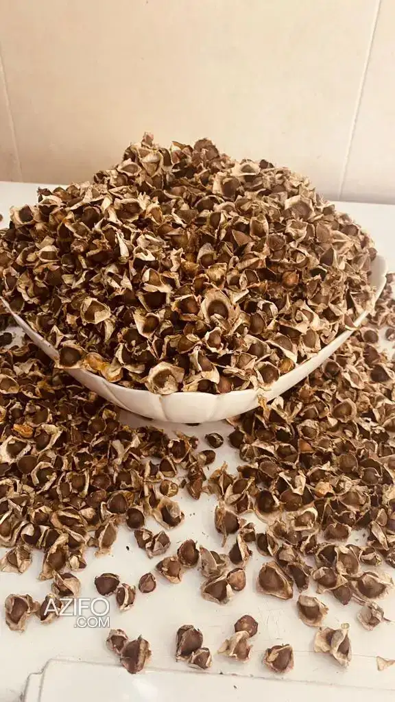 Moringa – à vendre in القنيطرة, MOROCCO | Azifo