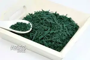 PRODUCTION DE SPIRULINE ARTISANALE – à vendre in Marrakech, MOROCCO | Azifo