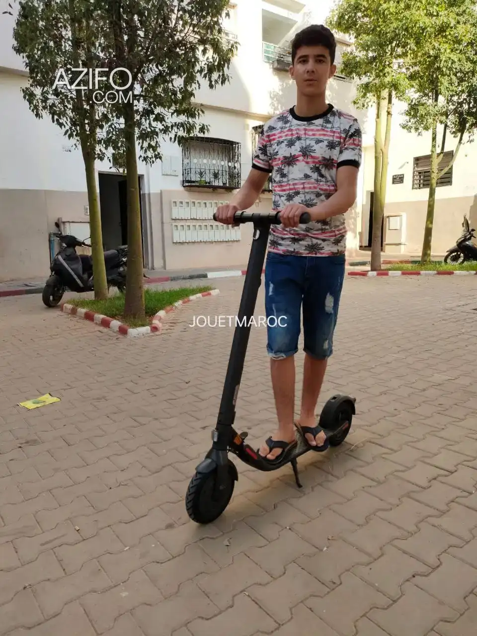 Segway Ninebot E22E trottinette électrique 2023 – trottinette électrique à vendre in Casablanca, MOROCCO | Azifo