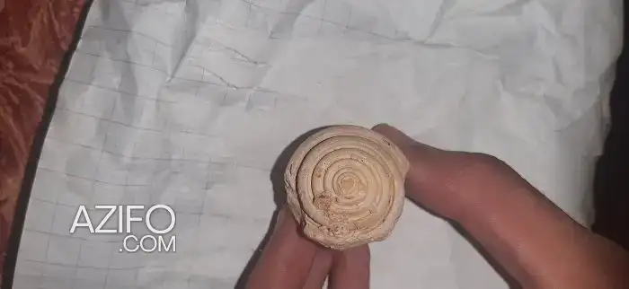 أحفوريات لهواة المستحاثات in Casablanca, MOROCCO | Azifo