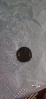 Product Detail 3