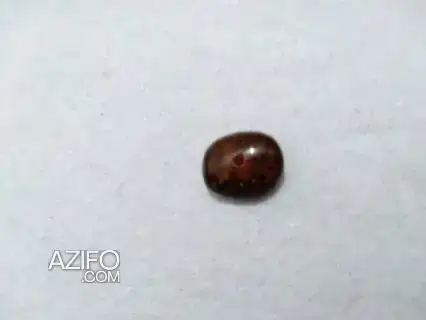 زهرة اللوبان الطقش للاستفسار ومعرفة التفاصيل in الدار البيضاء, MOROCCO | Azifo