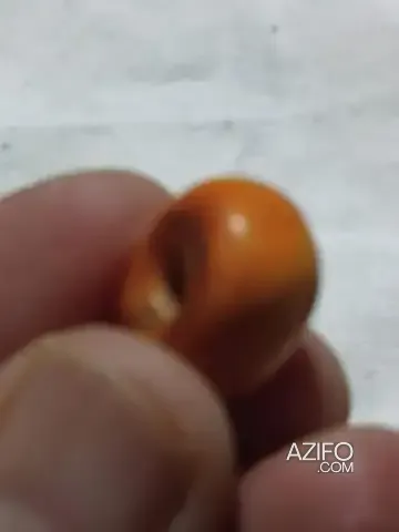 Product Detail 2