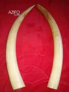 حي سلام مدينة سلا in Rabat, MOROCCO | Azifo