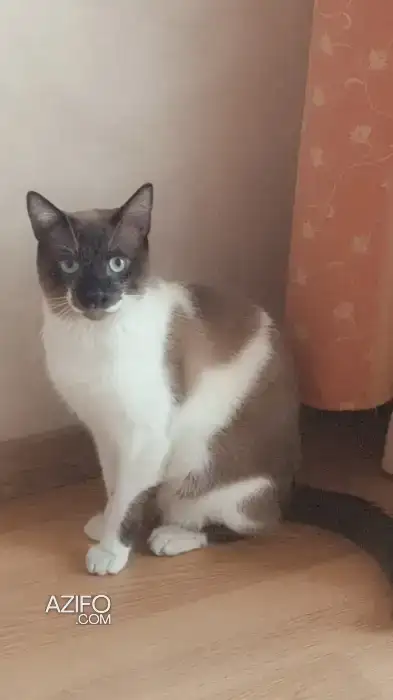 Maurice in الدار البيضاء, MOROCCO | Azifo