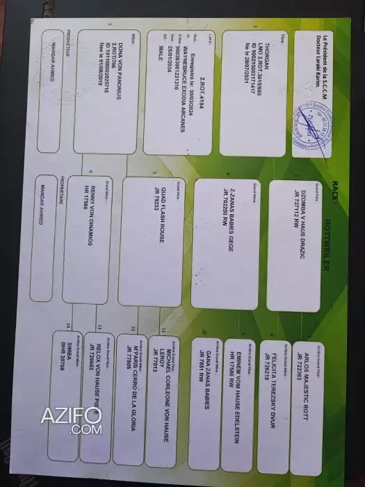 Product Detail 2