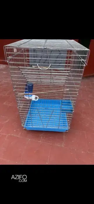 Cage à perroquet in Rabat, MOROCCO | Azifo