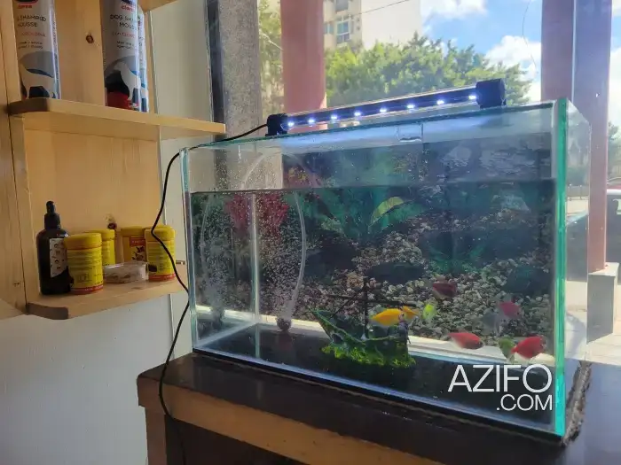 Aquarium avec poissons in الدار البيضاء, MOROCCO | Azifo