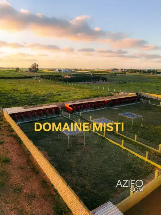 Pension et Hôtel Professionnel pour Chiens à Casablanca in Casablanca, MOROCCO | Azifo