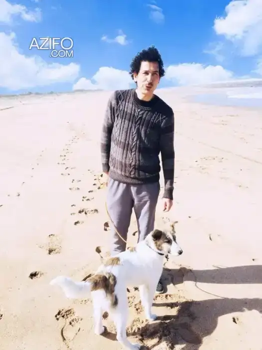 Chien Aïdi (Berger de l'Atlas) de 5 ans in Casablanca, MOROCCO | Azifo