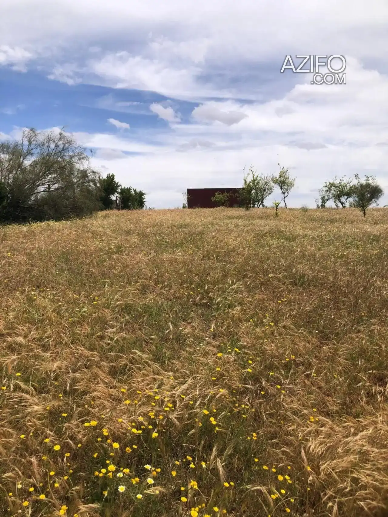 Ferme à vendre à Rabat – 40 000 m² in الرباط, MOROCCO | Azifo