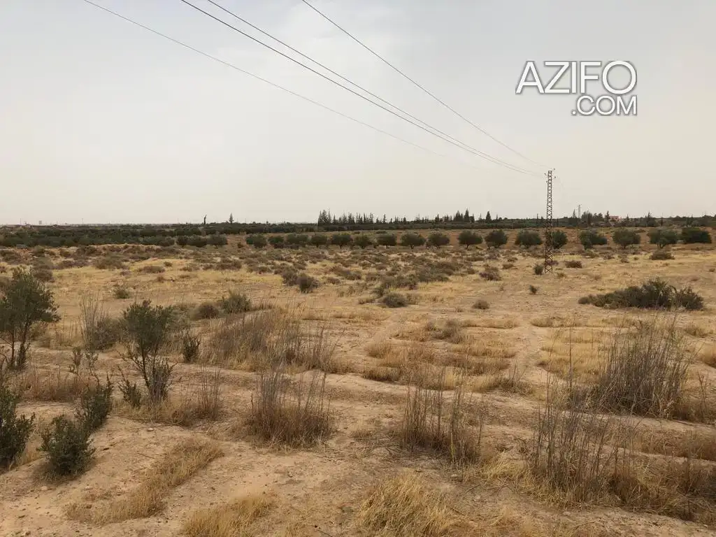 Ferme à vendre à Marrakech – 520 000 m² in مراكش, MOROCCO | Azifo