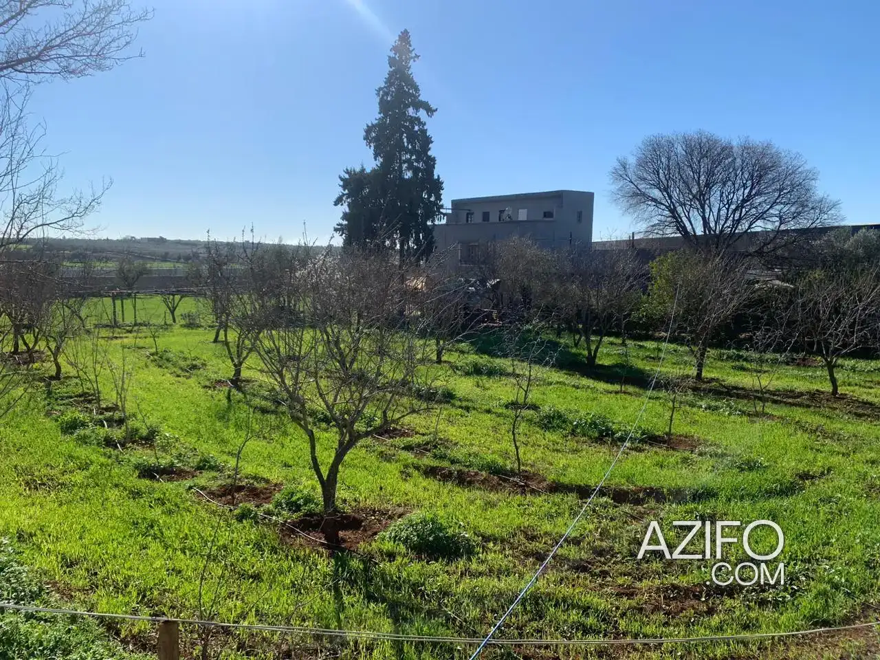 Ferme à vendre à Meknès – 10 600 m² in مكناس, MOROCCO | Azifo