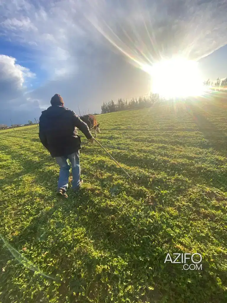 Ferme à vendre – 20 000 m² in القنيطرة, MOROCCO | Azifo