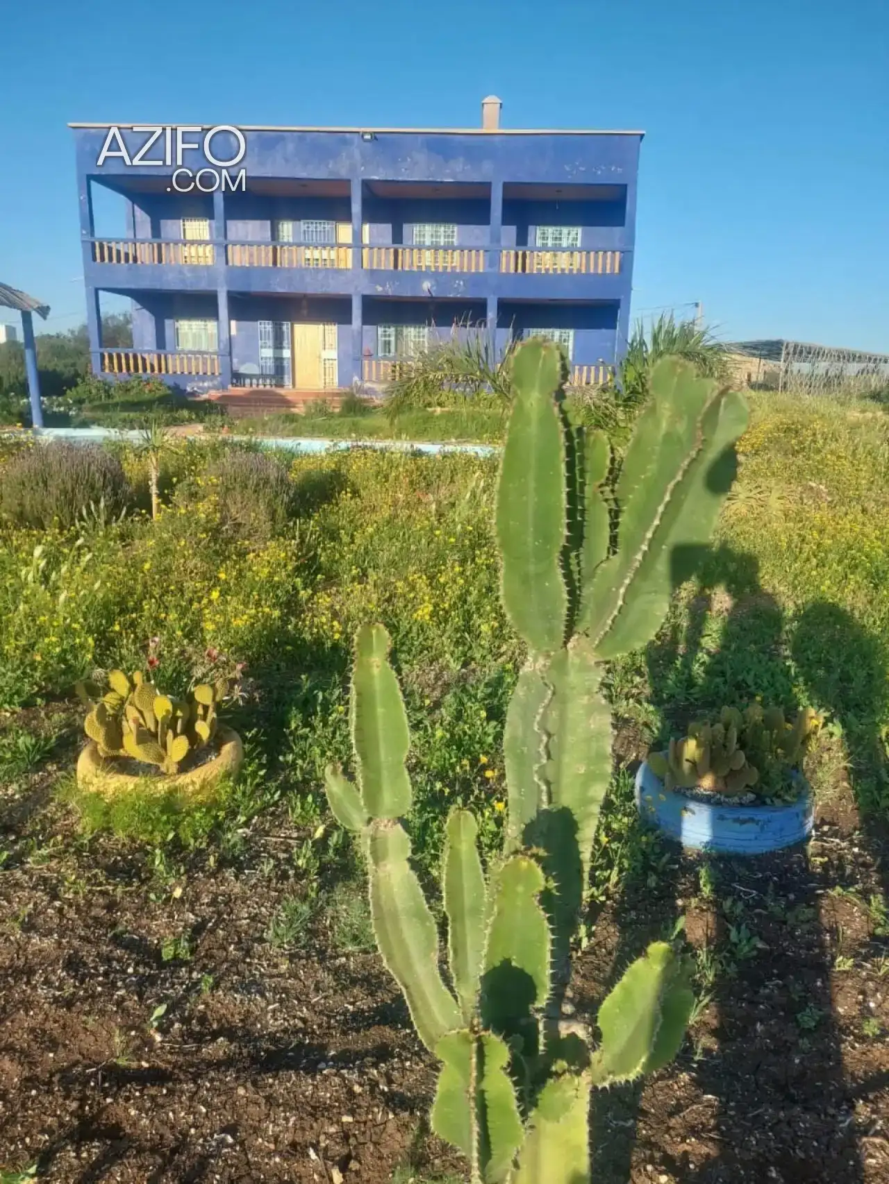 Ferme à vendre à Benslimane – 15 300 m² in المحمدية, MOROCCO | Azifo