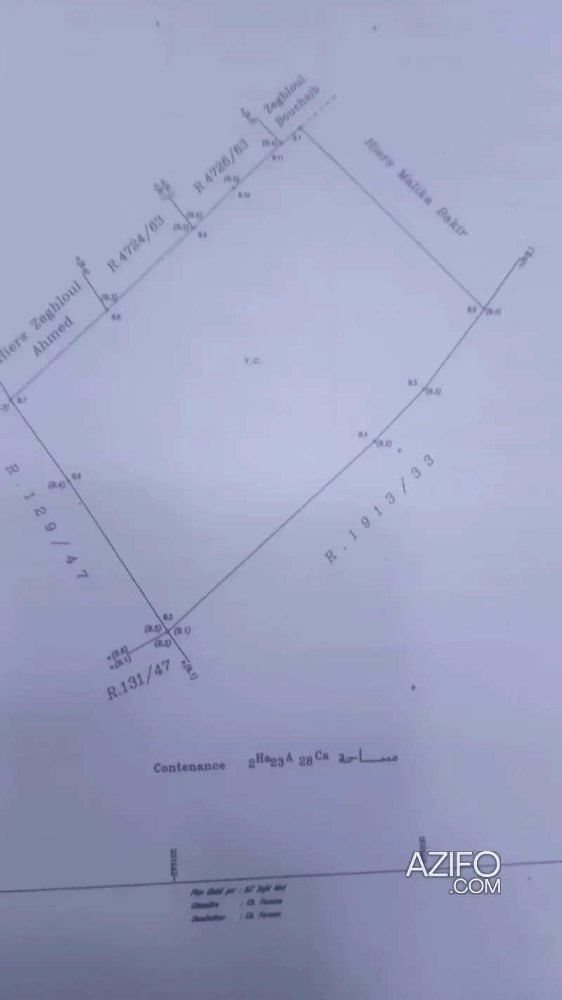 Product Detail 2