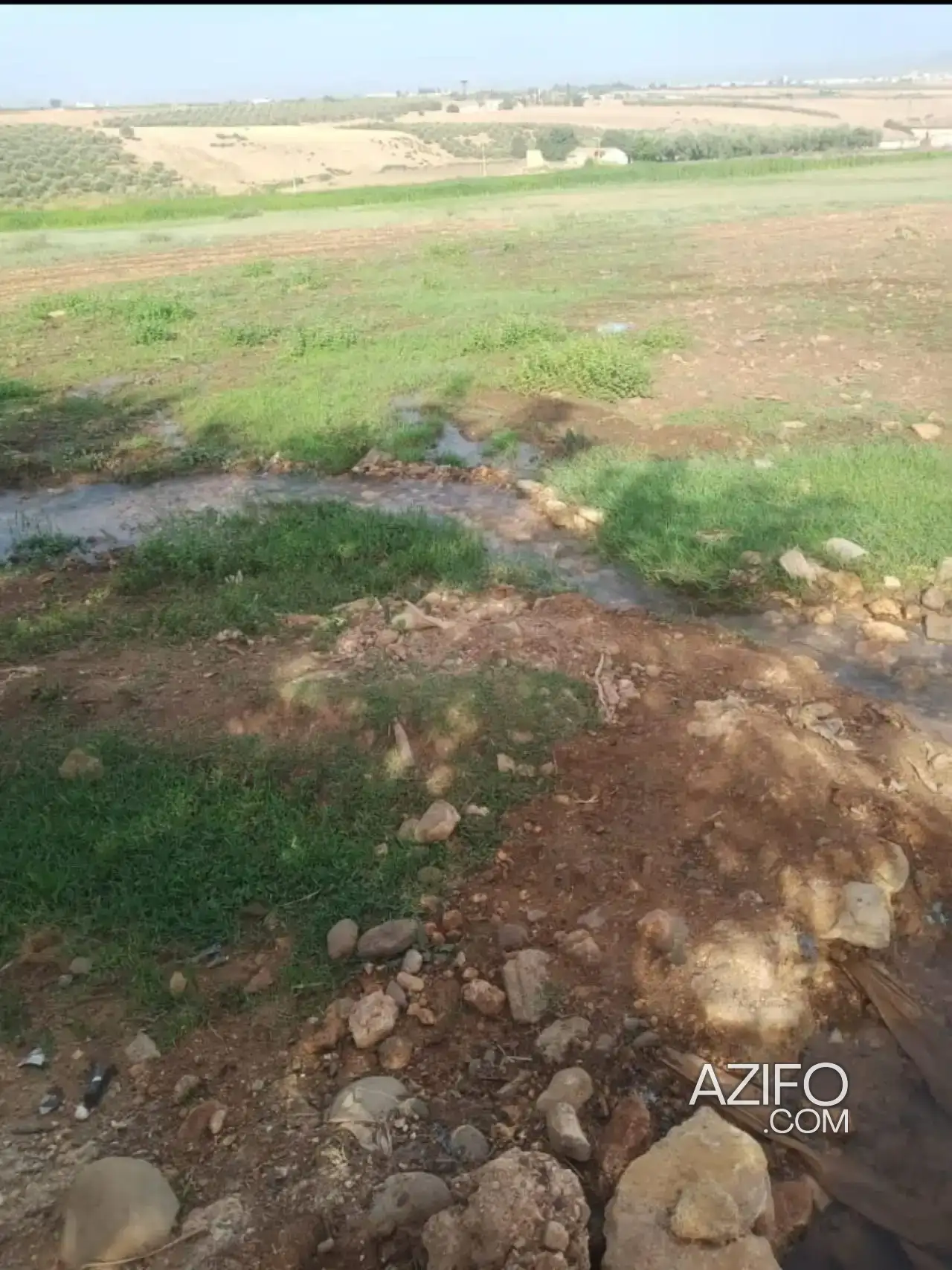 Terrain industriel à vendre à Fès – 20 000 m² in فاس, MOROCCO | Azifo