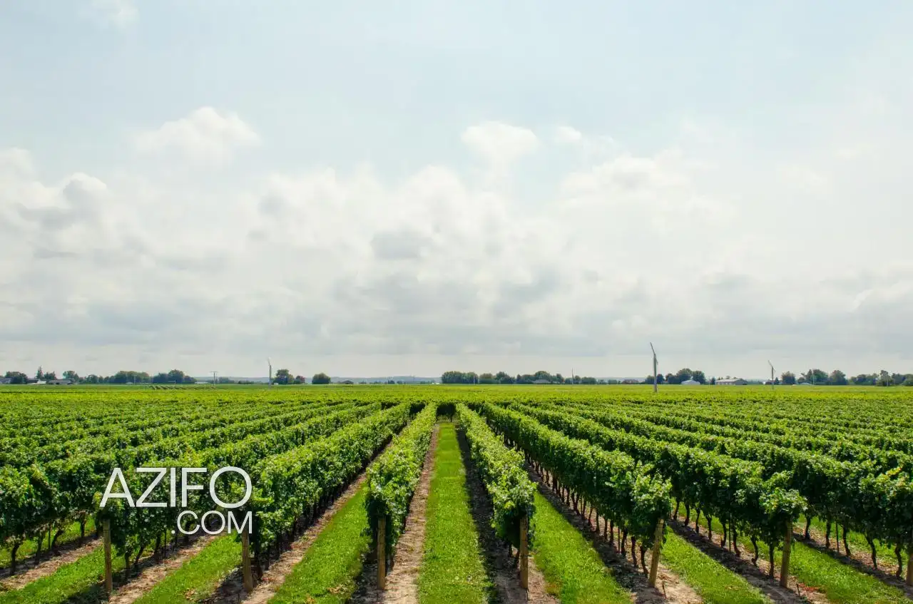 Terrain agricole à vendre à Fès – 100 000 m² in فاس, MOROCCO | Azifo