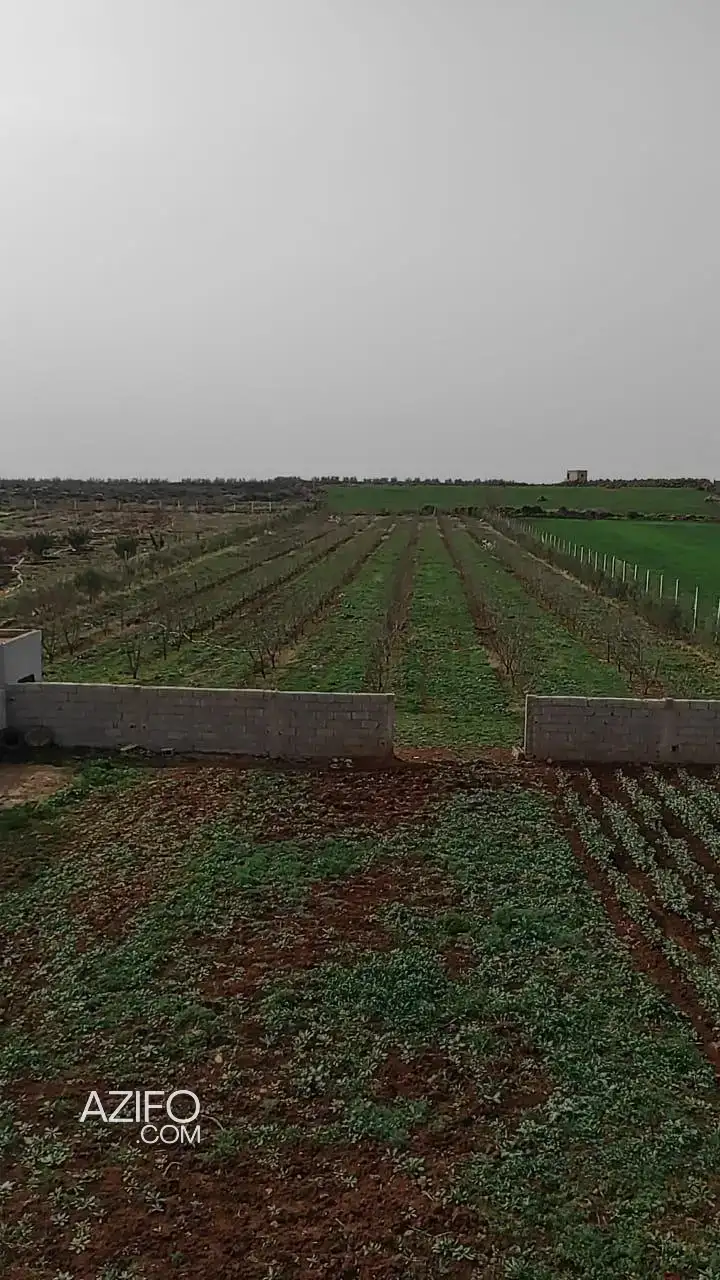 Terrain à vendre à Fès – 100 m² in فاس, MOROCCO | Azifo