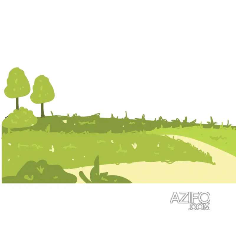 Product Detail 3