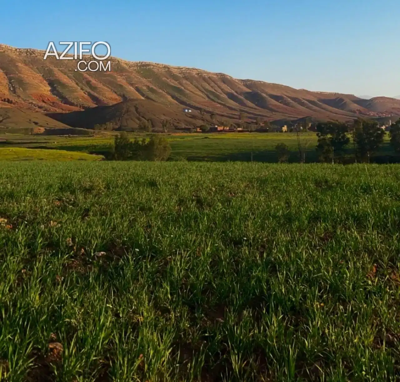 Terrain à vendre à Marrakech – 1 751 m² in مراكش, MOROCCO | Azifo