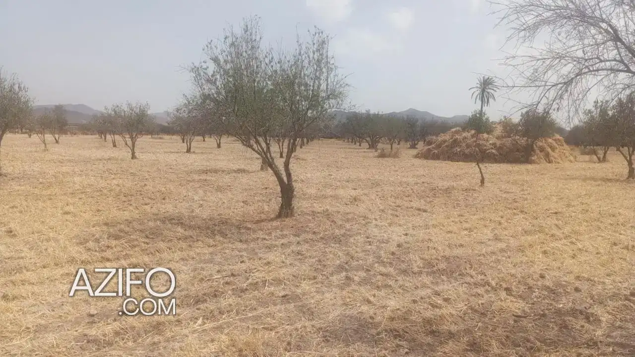 Terrain constructible à vendre – 27 361 m² in مراكش, MOROCCO | Azifo