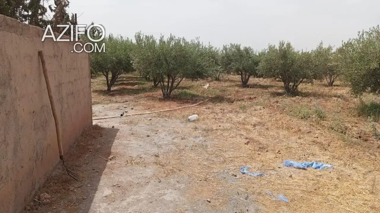 Terrain titré à vendre à Marrakech – 20 000 m² in مراكش, MOROCCO | Azifo