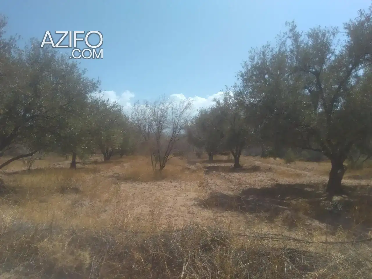 Terrain à vendre à Marrakech – 3 000 m² in Marrakech, MOROCCO | Azifo