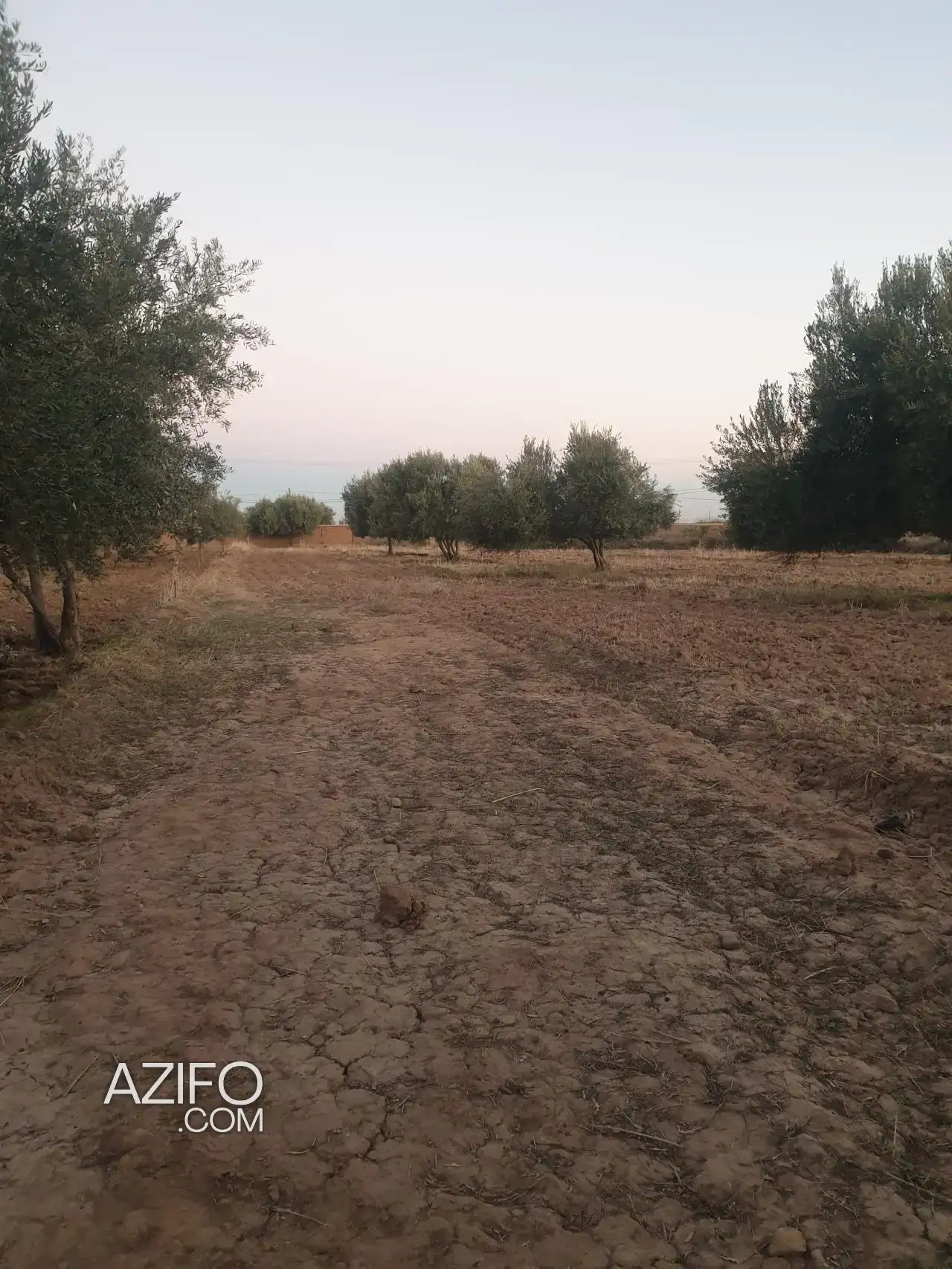 Terrain à vendre à Marrakech – 1 000 m² in مراكش, MOROCCO | Azifo