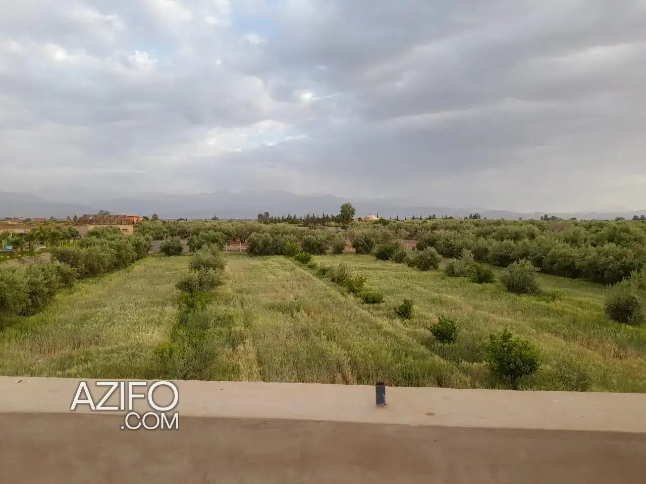 Terrain titré à vendre à Marrakech – 6 000 m² in مراكش, MOROCCO | Azifo