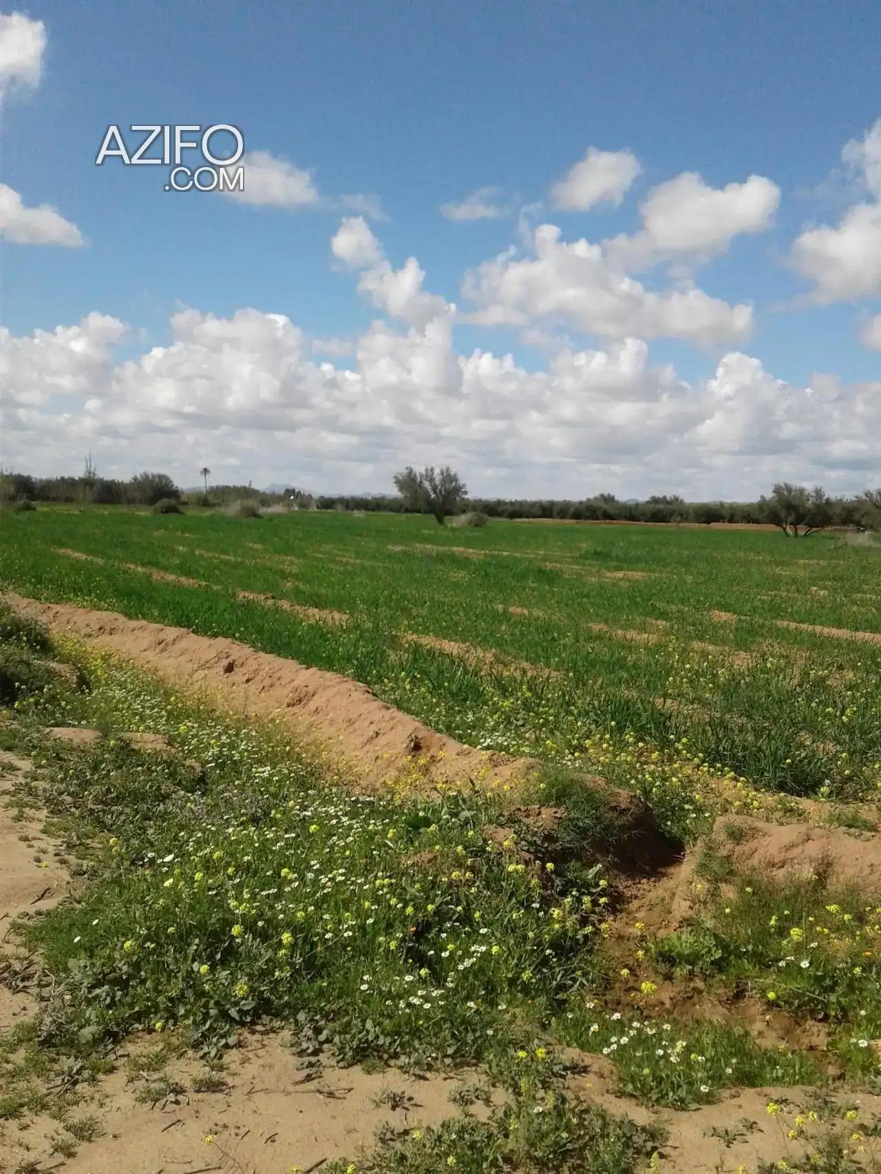 Terrain titré à vendre à Marrakech – 40 000 m² in مراكش, MOROCCO | Azifo