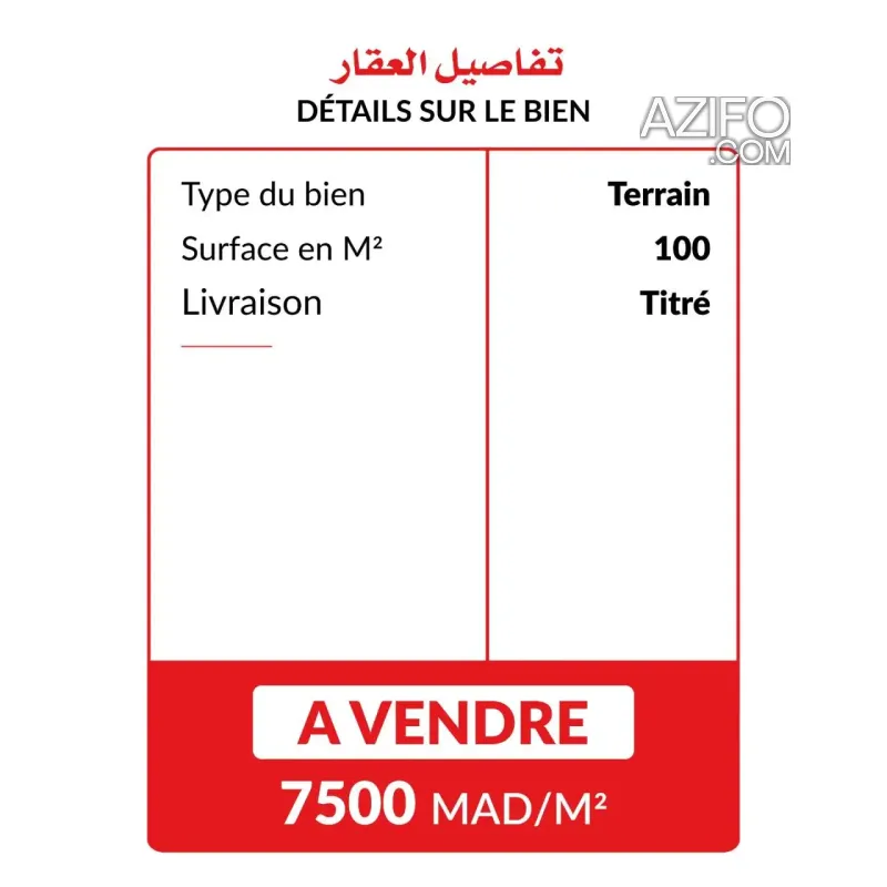 Product Detail 2