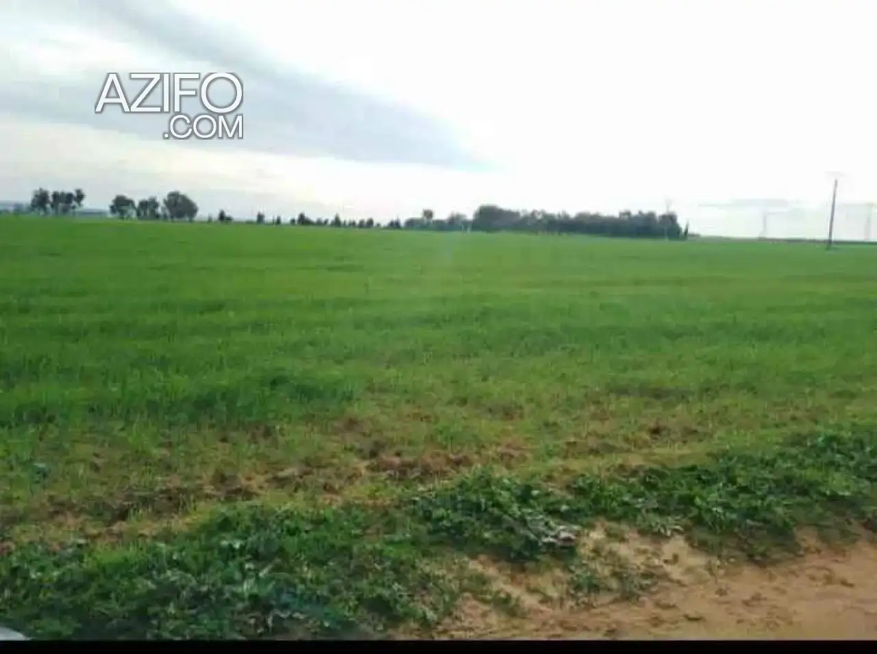 Terrain titré à vendre à Tanger – 90 000 m² in طنجة - أصيلة, MOROCCO | Azifo