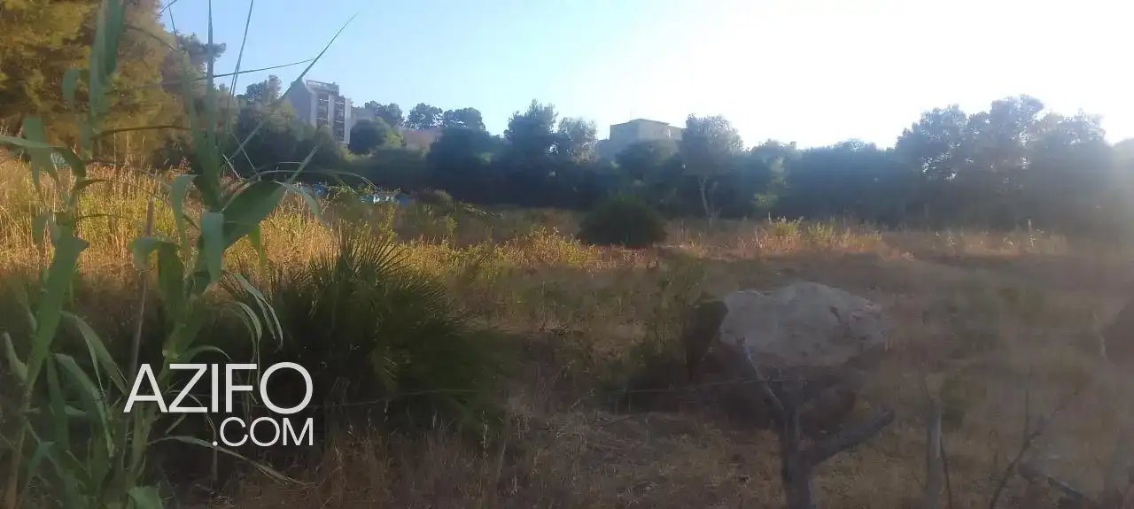 Terrain titré à vendre à Tanger – 3 100 m² in طنجة - أصيلة, MOROCCO | Azifo