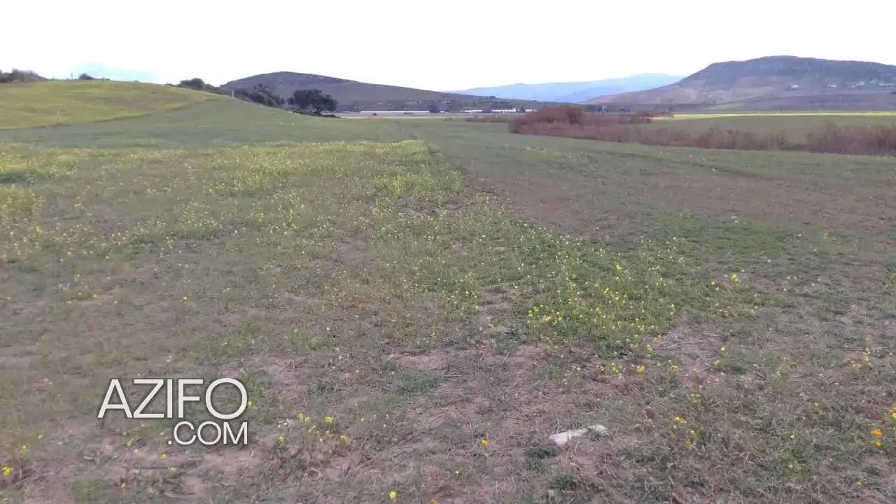 Terrain à vendre à Tanger – 5 000 m² in طنجة - أصيلة, MOROCCO | Azifo