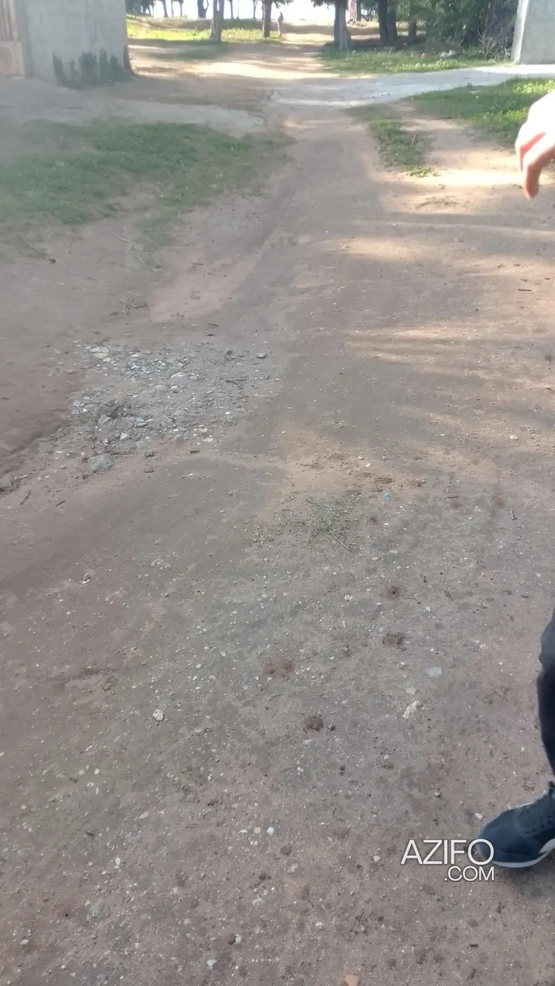 Product Detail 2