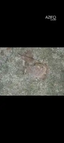 جرن يحتاج إلى تفسير للاستفسار ومعرفة التفاصيل in المحمدية, MOROCCO | Azifo