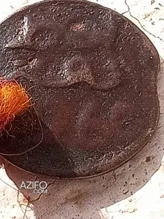 Product Detail 2