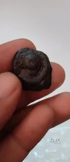 Product Detail 2