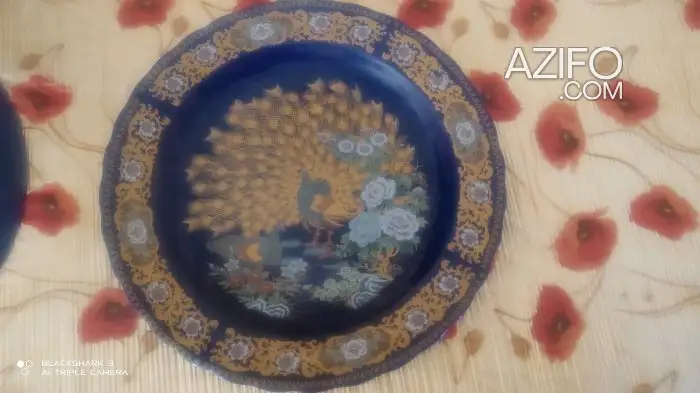 ,طبسيل طاووس حر. عندي 4 بعمر يزيد على 25 سنة in Marrakech, MOROCCO | Azifo