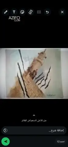 لوحة نادرة لعشاق الفن واللوحات in Casablanca, MOROCCO | Azifo