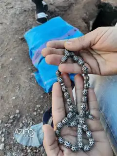 تسبيح من الفضة الخالصة للمهتمين بالحلي والزينة in Casablanca, MOROCCO | Azifo