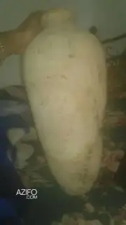 جره قديمة وجدتها في البحر للديكور وهواة المقتنيات in Agadir, MOROCCO | Azifo
