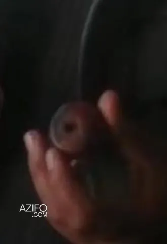 Product Detail 2
