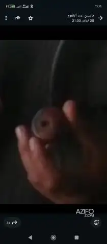Product Detail 1