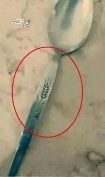 ملاعق السنبلة لهواة المقتنيات وأدوات المائدة in Errachidia, MOROCCO | Azifo